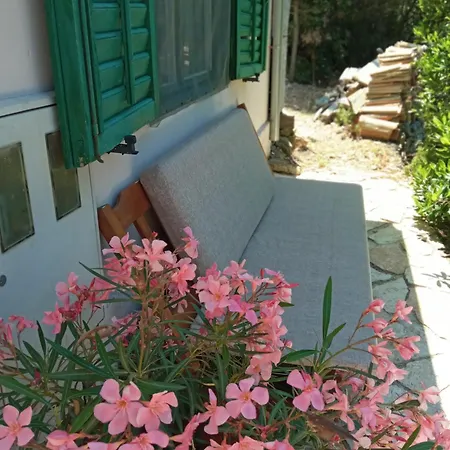 A Tiny Sea In The Wilderness Вис