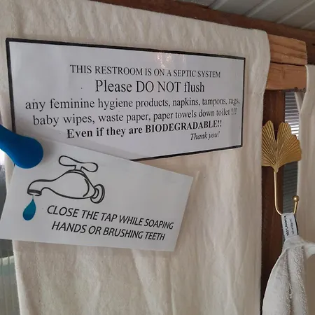 A Tiny Sea In The Wilderness *