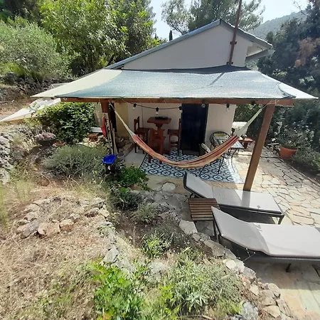 A Tiny Sea In The Wilderness