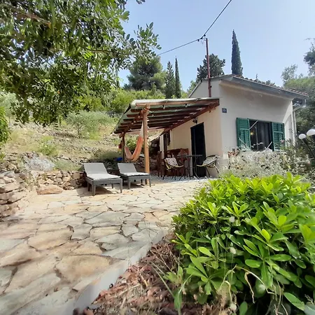 A Tiny Sea In The Wilderness * Вис