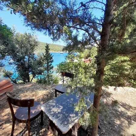 A Tiny Sea In The Wilderness * فيس