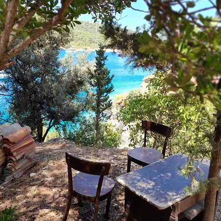 A Tiny Sea In The Wilderness *