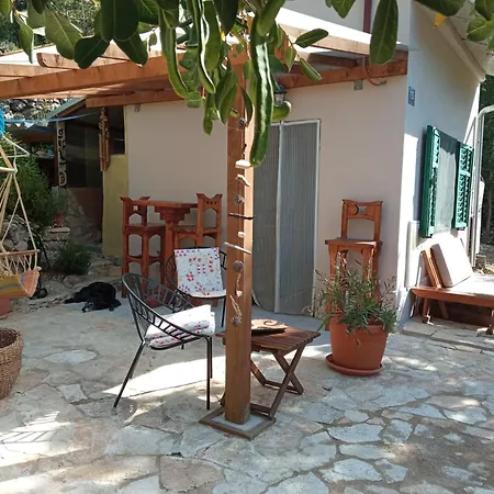 A Tiny Sea In The Wilderness 维斯