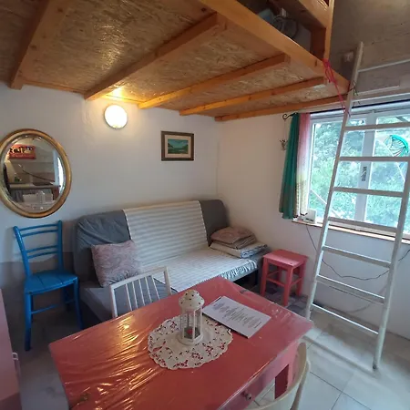 A Tiny Sea In The Wilderness 维斯