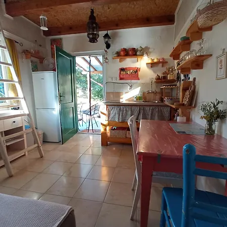 A Tiny Sea In The Wilderness * Vis