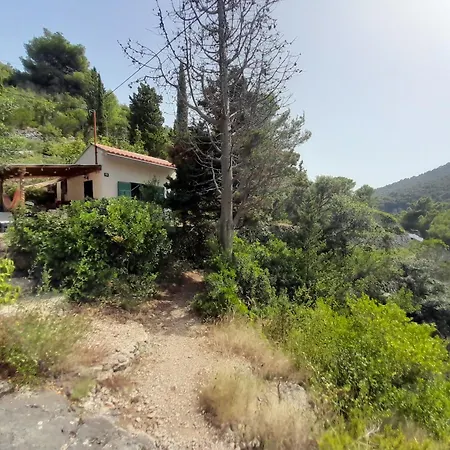 A Tiny Sea In The Wilderness Vis