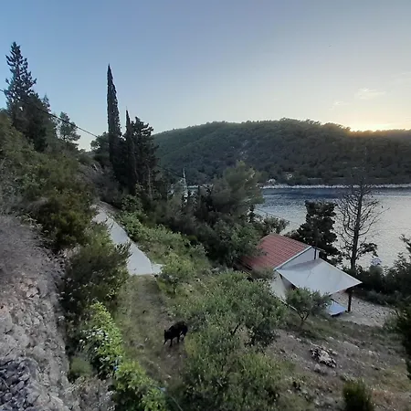 A Tiny Sea In The Wilderness * 维斯