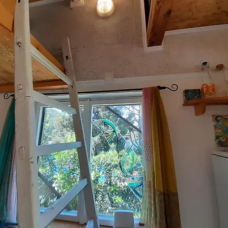 A Tiny Sea In The Wilderness *