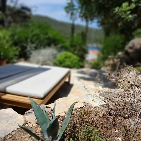 A Tiny Sea In The Wilderness