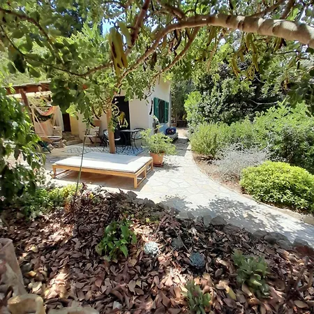 A Tiny Sea In The Wilderness * 维斯