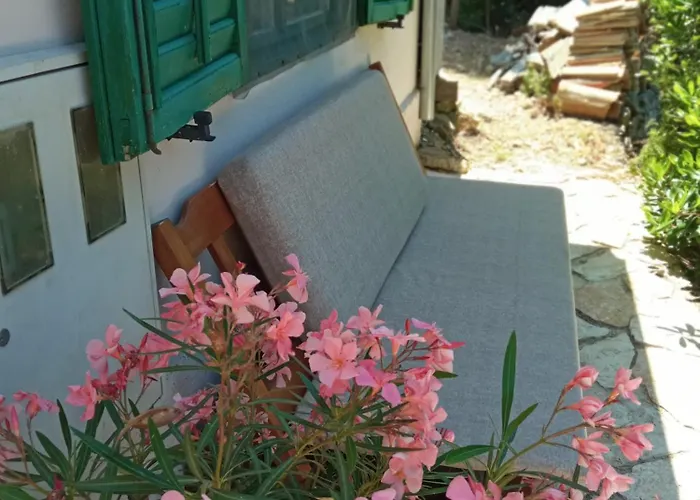 A Tiny Sea In The Wilderness *