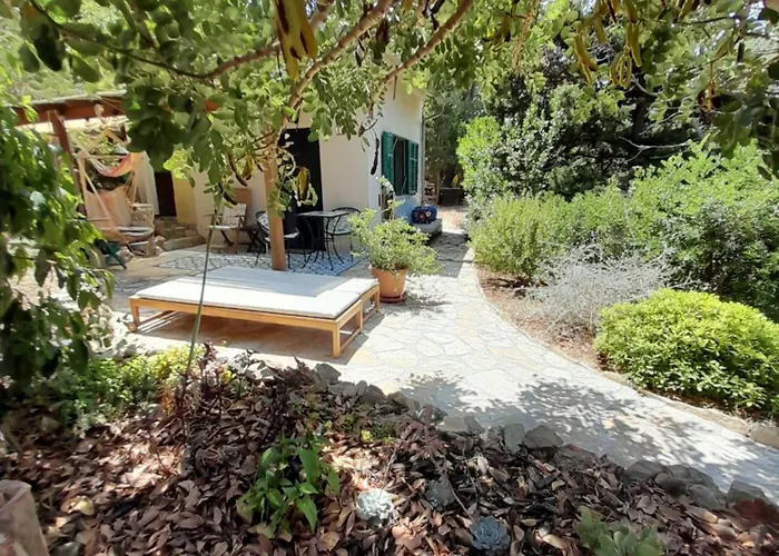 A Tiny Sea In The Wilderness * Vis