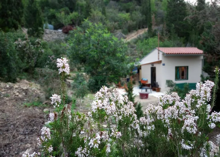 Casa de Férias A Tiny Sea In The Wilderness *