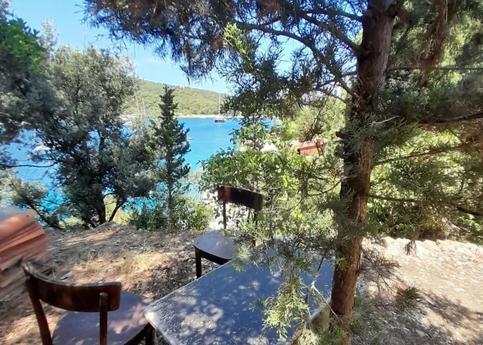 A Tiny Sea In The Wilderness * Vis