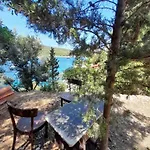 A Tiny Sea In The Wilderness * Vis