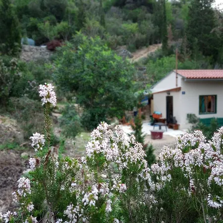 Σπίτι διακοπών A Tiny Sea In The Wilderness *